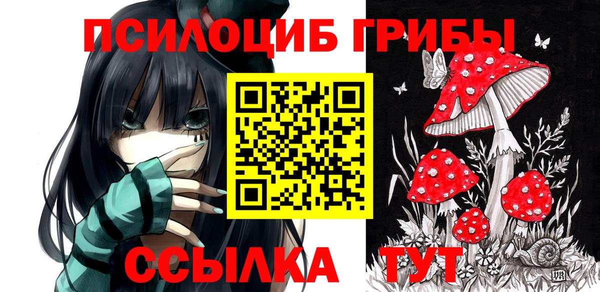 Псилоцибиновые грибы прущие грибы Мичуринск