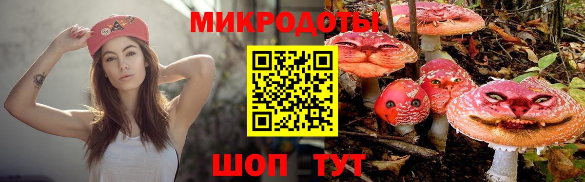 Галлюциногенные грибы Cubensis  сколько стоит  Мичуринск  Вход с VPN 